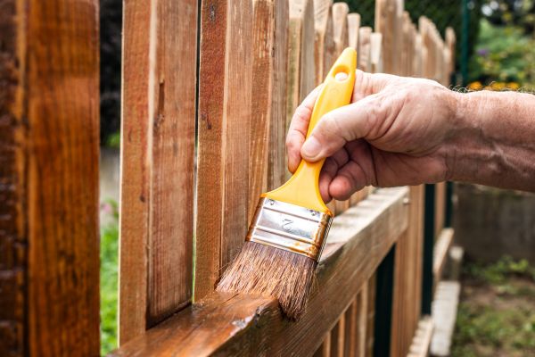Chain Link Fence Painting