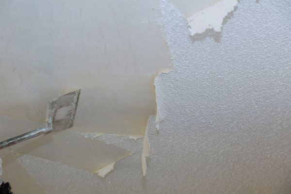 Acoustic Ceiling Repair