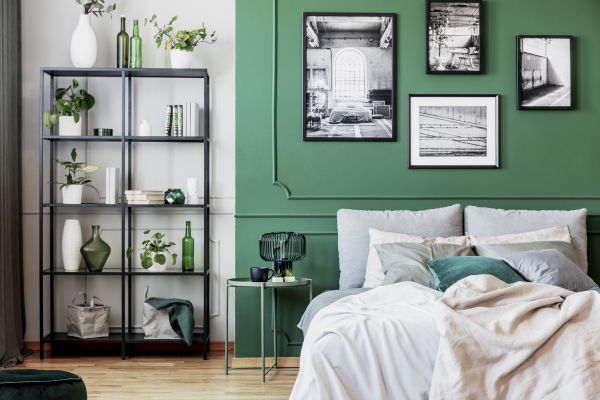 Apartment Interior Painting