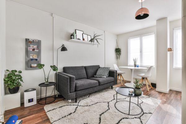 Apartment Interior Painting