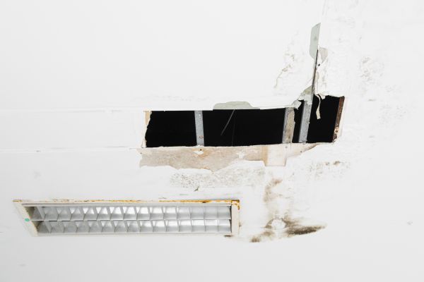 Drywall Ceiling Removal, Drywall Ceiling Removal, Louisiana
