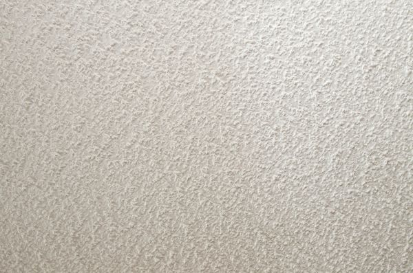 Acoustic Ceiling Repair