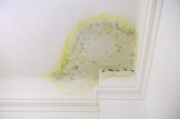 Ceiling Stain Removal, Ceiling Stain Removal, Iowa