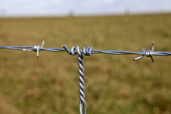 Barb Wire Fence Repair