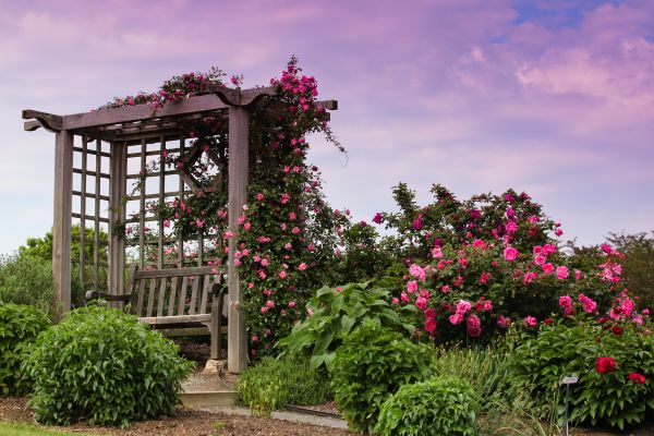 Trellis Service - Trellis Service Renton, Washington