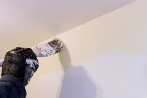 Accent Wall Painting