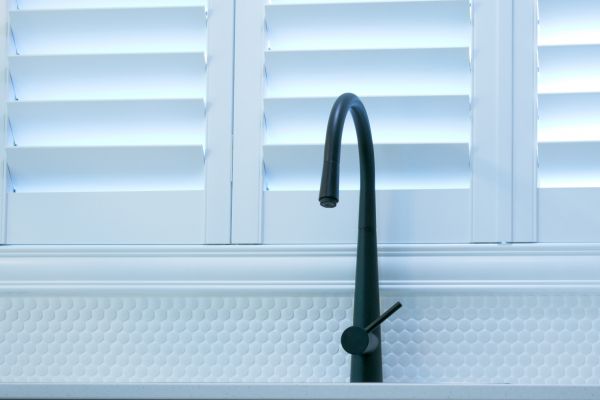 Exterior Shutter Painting