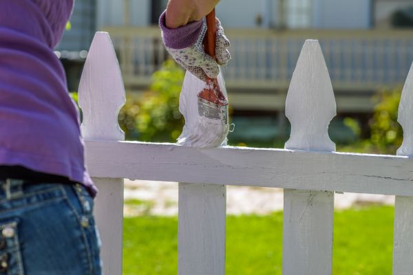 Livestock Fence Painting