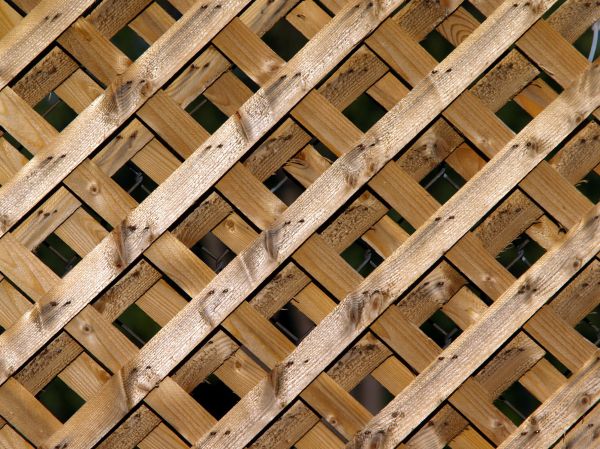 Lattice Design - Lattice Design Duval County, Florida