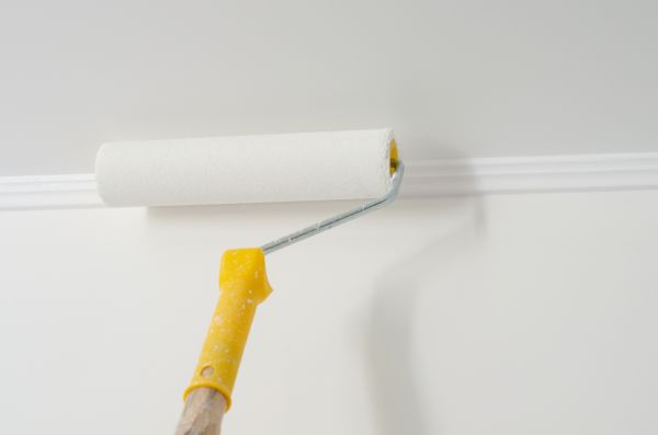 Apartment Interior Painting