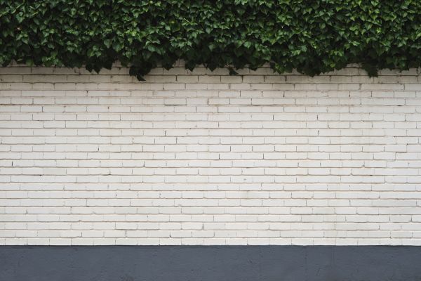 Exterior Lime Treatment